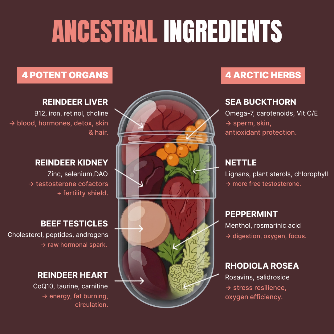 Reindeer Organ Supplement